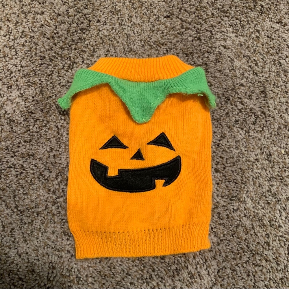 🎉HP🎉 Pumpkin dog sweater 🎃